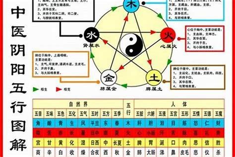 如何查自己的五行|如何查自己五行什么命 快速查自己的五行属性